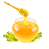 Донниковый мёд